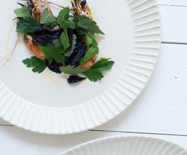 shrimp and fresh parsley produce on white chic plate